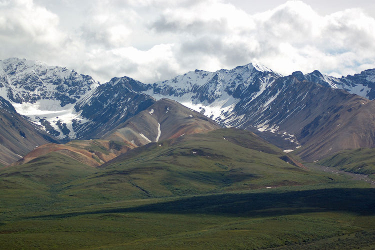 Solo Media Group - Shopify Platinum Partner - Agency Alaska