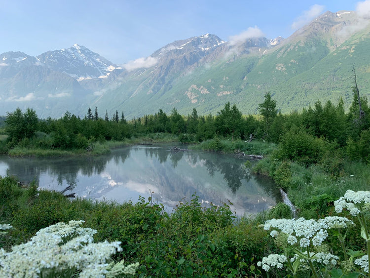 Solo Media Group - Shopify Platinum Partner - Agency Anchorage, AK
