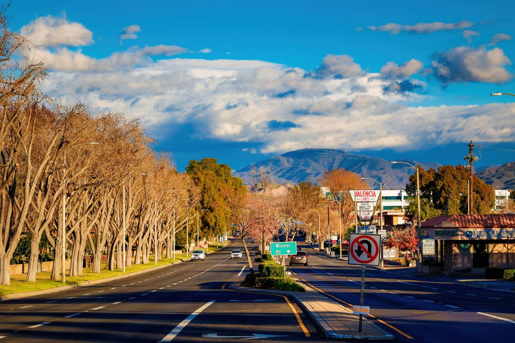 Solo Media Group - Shopify Platinum Partner - Agency Bakersfield, CA