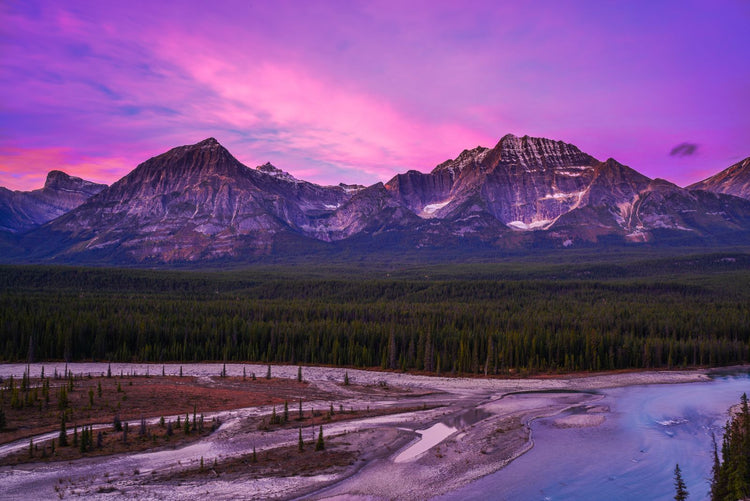Solo Media Group - Shopify Platinum Partner - Agency Canada