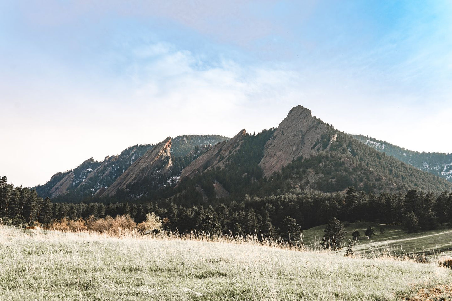 Solo Media Group - Shopify Platinum Partner - Agency Colorado