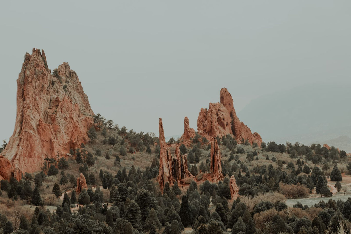 Solo Media Group - Shopify Platinum Partner - Agency Colorado Springs, CO