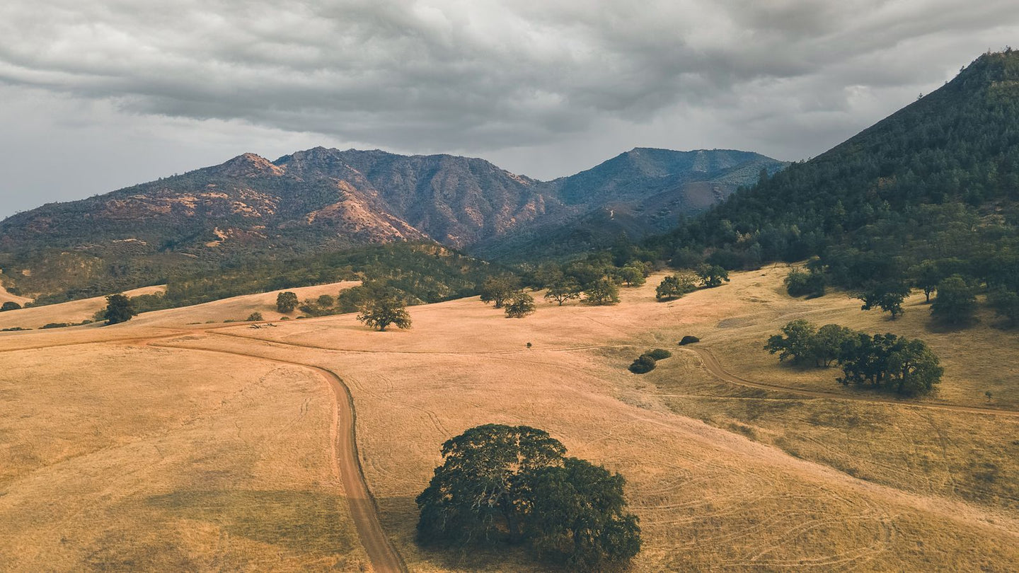 Solo Media Group - Shopify Platinum Partner - Agency Concord, CA