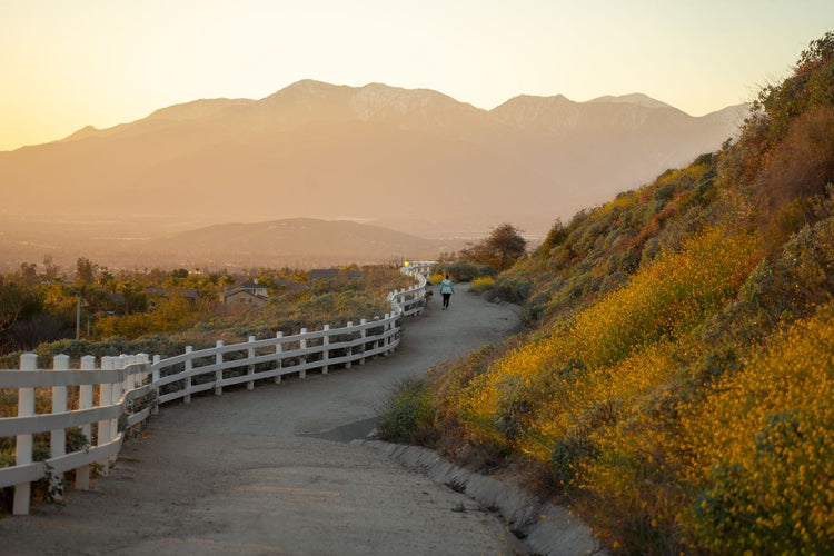 Solo Media Group - Shopify Platinum Partner - Agency Corona, CA