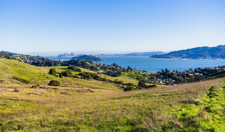 Solo Media Group - Shopify Platinum Partner - Agency Daly City, CA