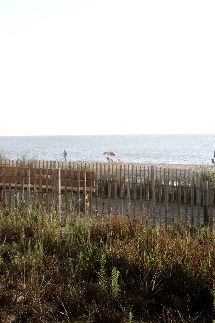 Solo Media Group - Shopify Platinum Partner - Agency Delaware