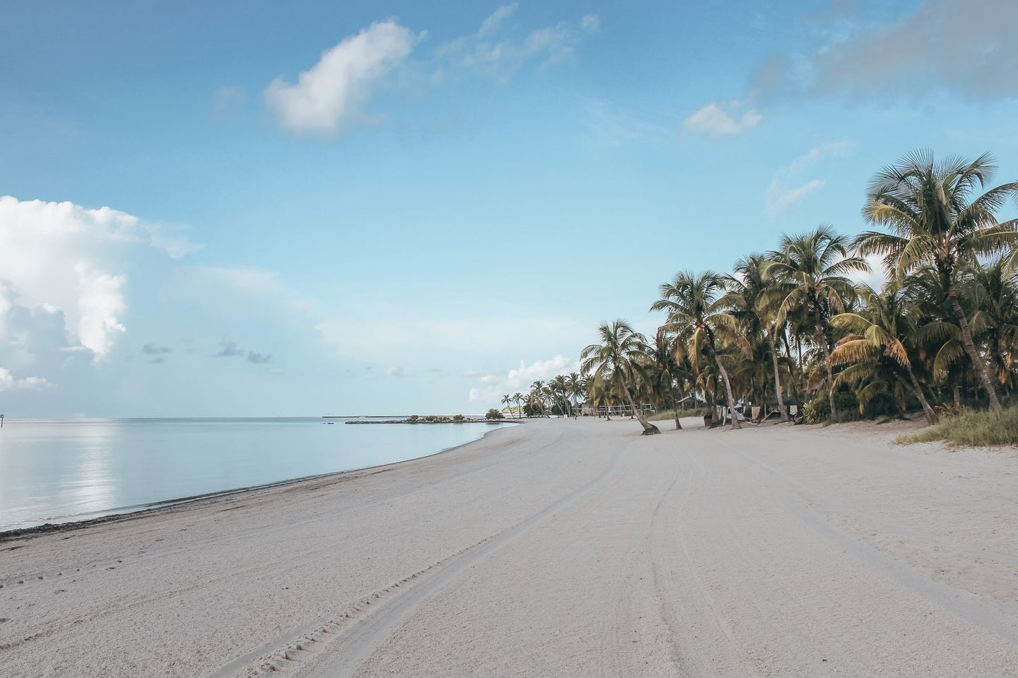 Solo Media Group - Shopify Platinum Partner - Agency Florida
