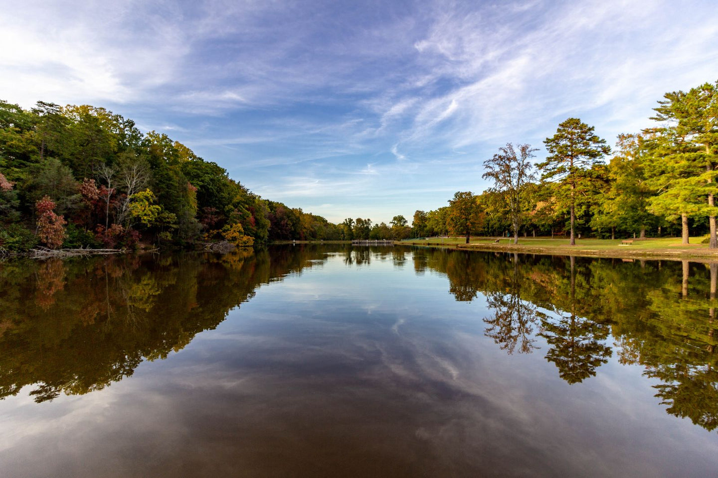 Solo Media Group - Shopify Platinum Partner - Agency Greensboro, NC