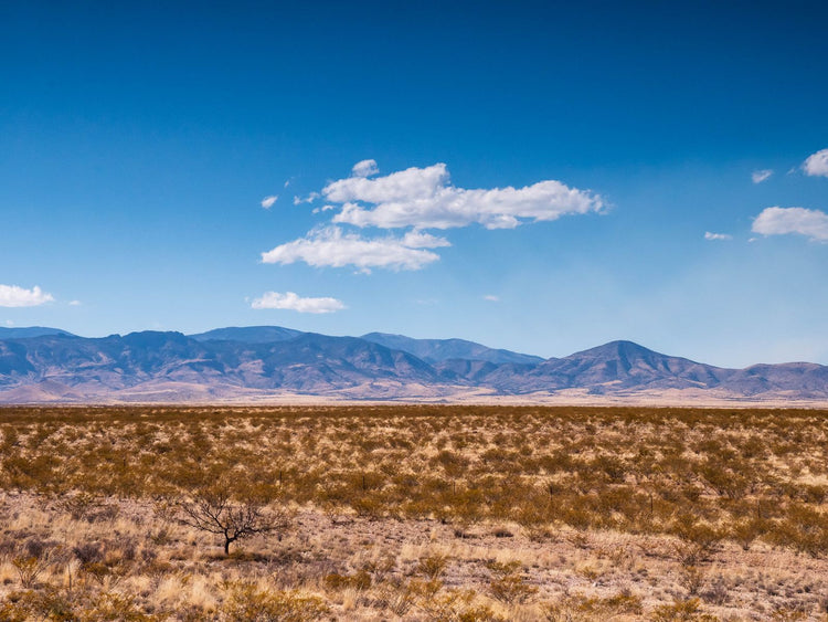 Solo Media Group - Shopify Platinum Partner - Agency Las Cruces, NM
