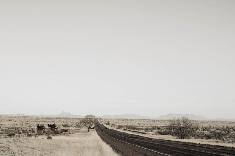 Solo Media Group - Shopify Platinum Partner - Agency Lubbock, TX
