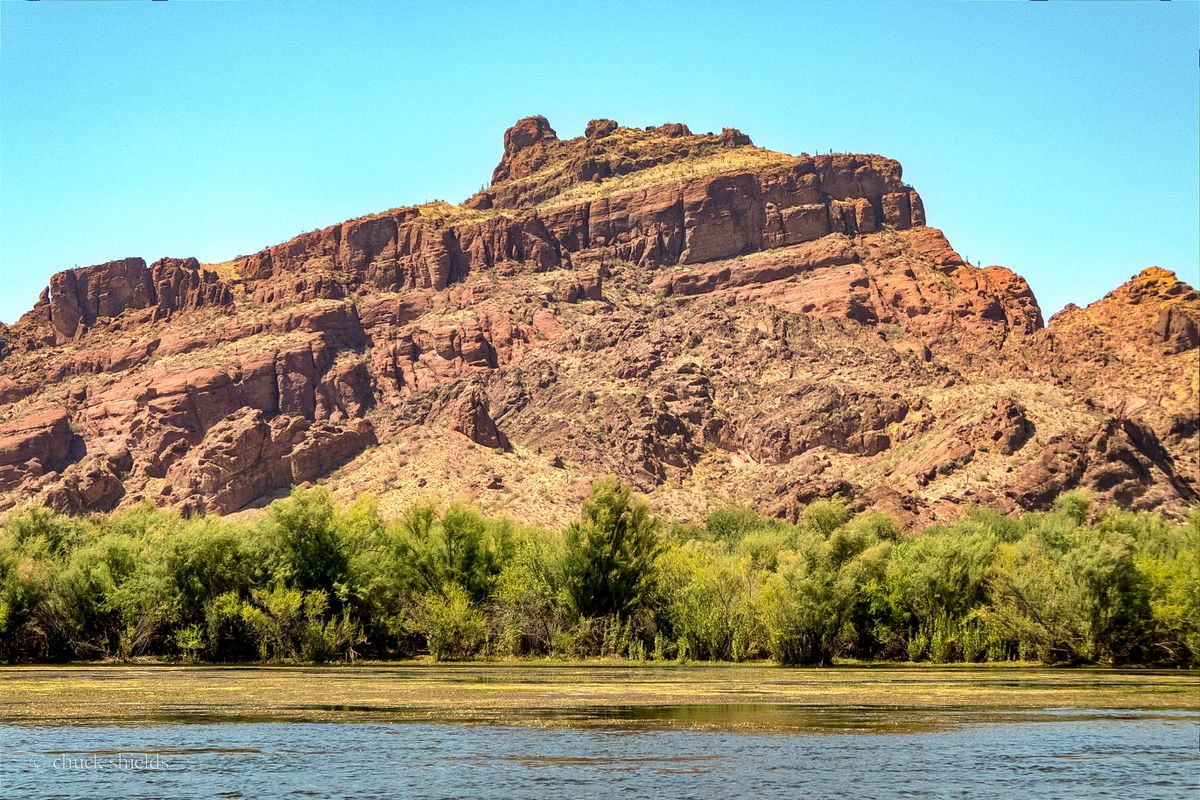 Solo Media Group - Shopify Platinum Partner - Agency Mesa, AZ