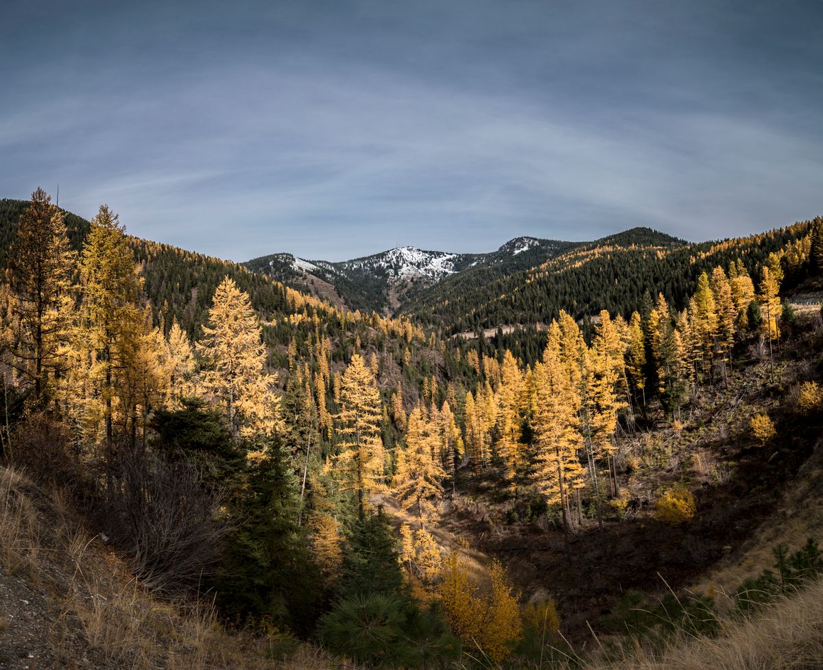 Solo Media Group - Shopify Platinum Partner - Agency Missoula, MT