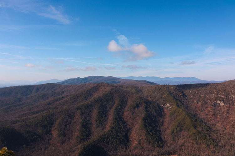 Solo Media Group - Shopify Platinum Partner - Agency North Carolina