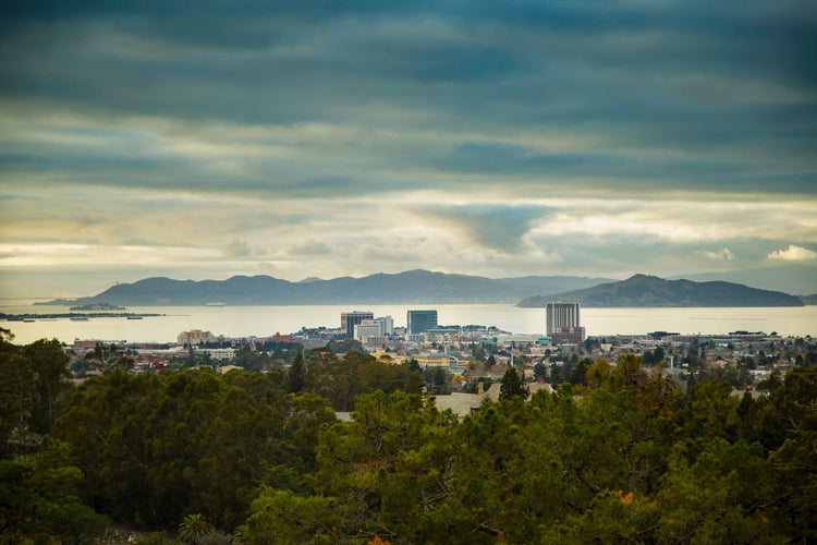 Solo Media Group - Shopify Platinum Partner - Agency Oakland, CA