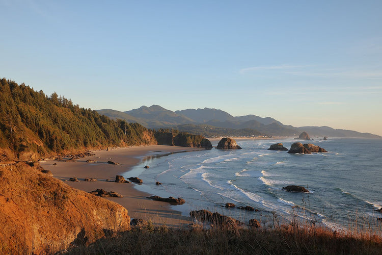 Solo Media Group - Shopify Platinum Partner - Agency Oregon