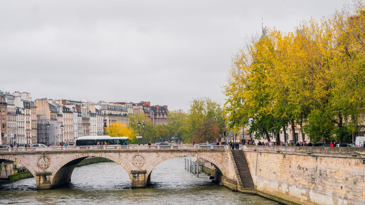 Solo Media Group - Shopify Platinum Partner - Agency Paris, FR