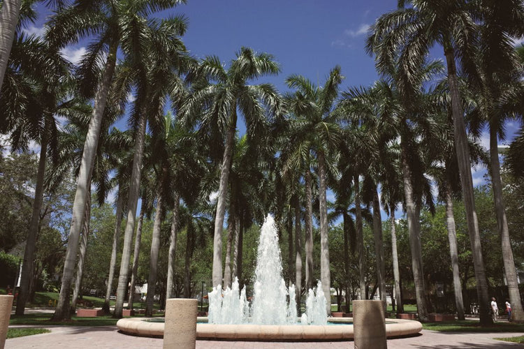 Solo Media Group - Shopify Platinum Partner - Agency Pembroke Pines, FL