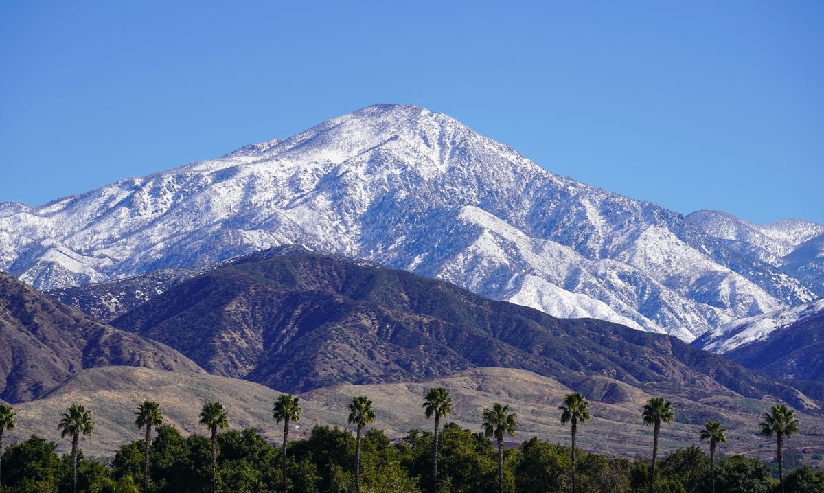 Solo Media Group - Shopify Platinum Partner - Agency San Bernardino, CA