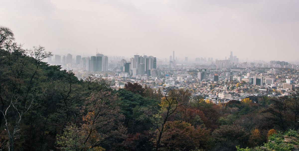 Solo Media Group - Shopify Platinum Partner - Agency Seoul, South Korea