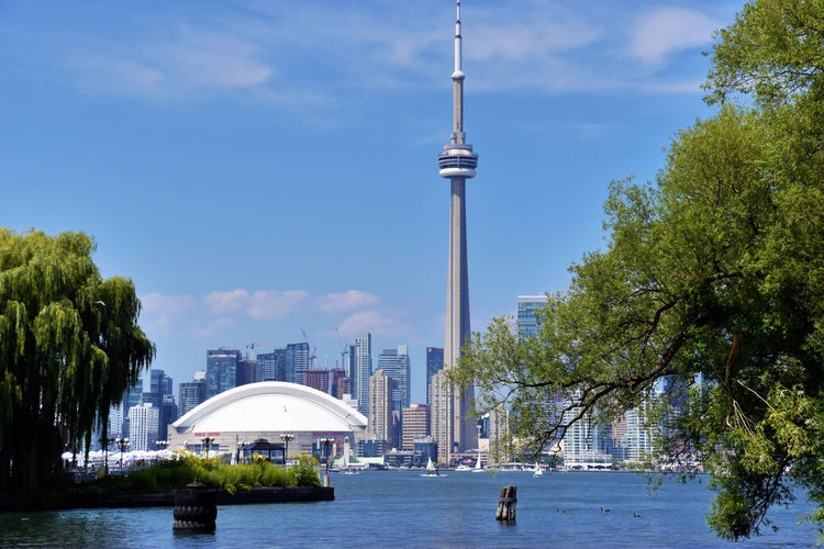 Solo Media Group - Shopify Platinum Partner - Agency Toronto, ON