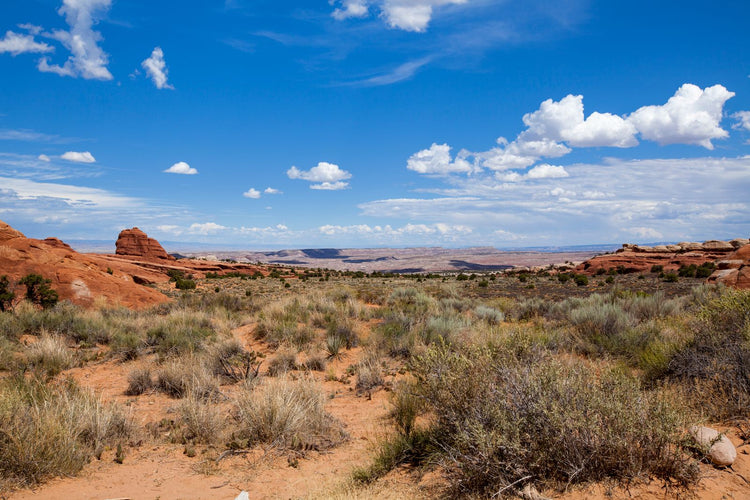 Solo Media Group - Shopify Platinum Partner - Agency Utah