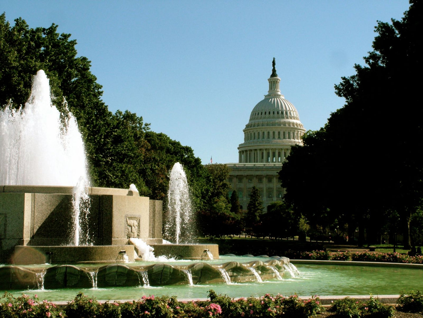 Solo Media Group - Shopify Platinum Partner - Agency Washington, DC