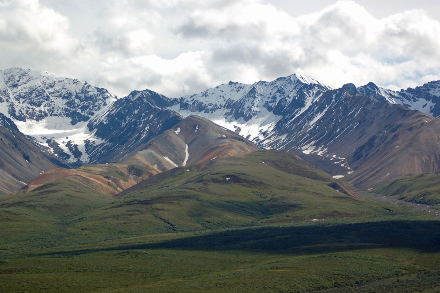 Solo Media Group - Shopify Platinum Partner - Agency Alaska