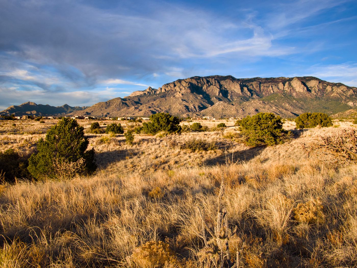Solo Media Group - Shopify Platinum Partner - Agency Albuquerque, NM