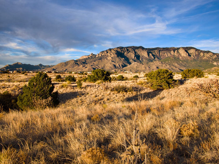 Solo Media Group - Shopify Platinum Partner - Agency Albuquerque, NM