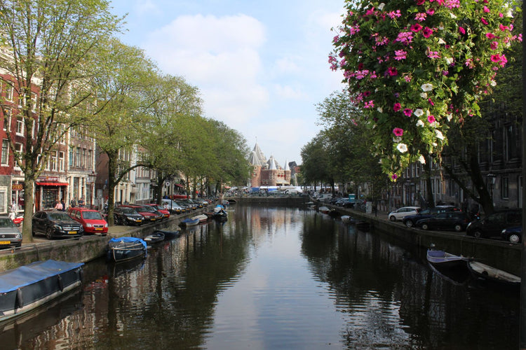 Solo Media Group - Shopify Platinum Partner - Agency Amsterdam, NL