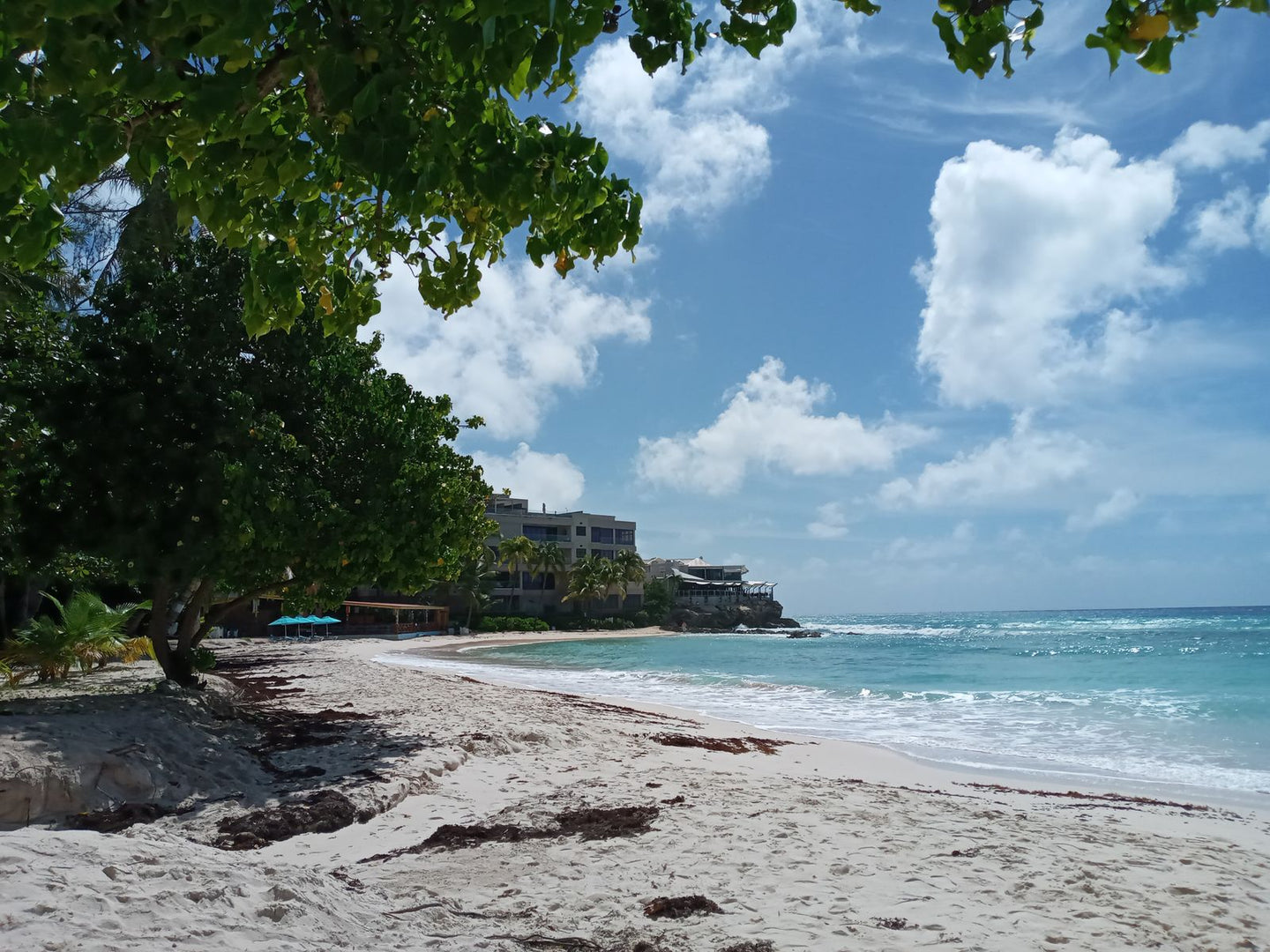 Solo Media Group - Shopify Platinum Partner - Agency Barbados