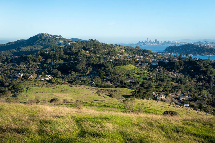 Solo Media Group - Shopify Platinum Partner - Agency Berkeley, CA