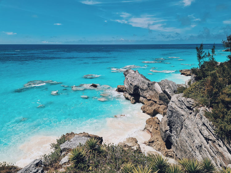 Solo Media Group - Shopify Platinum Partner - Agency Bermuda
