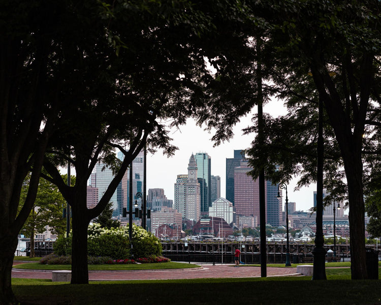 Solo Media Group - Shopify Platinum Partner - Agency Boston, MA