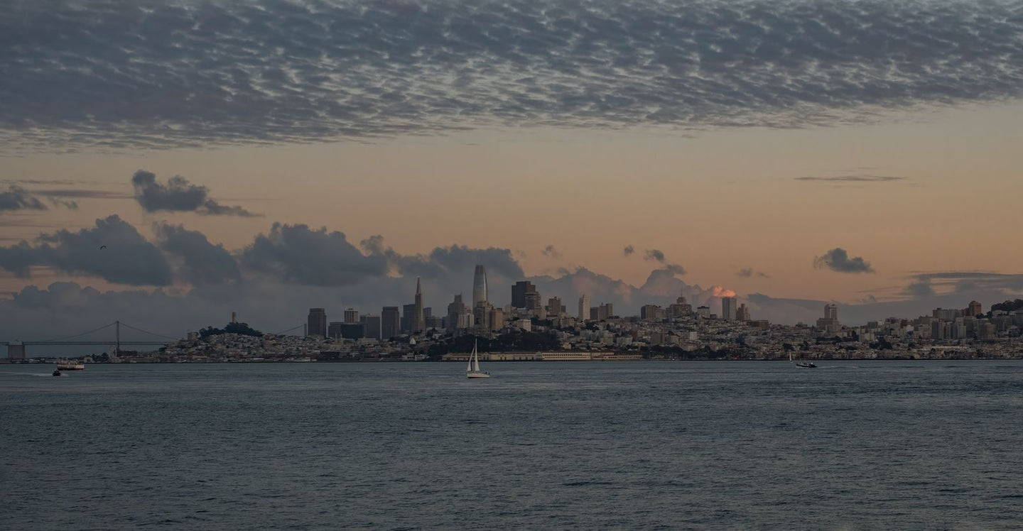 Solo Media Group - Shopify Platinum Partner - Agency California