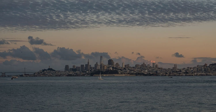 Solo Media Group - Shopify Platinum Partner - Agency California