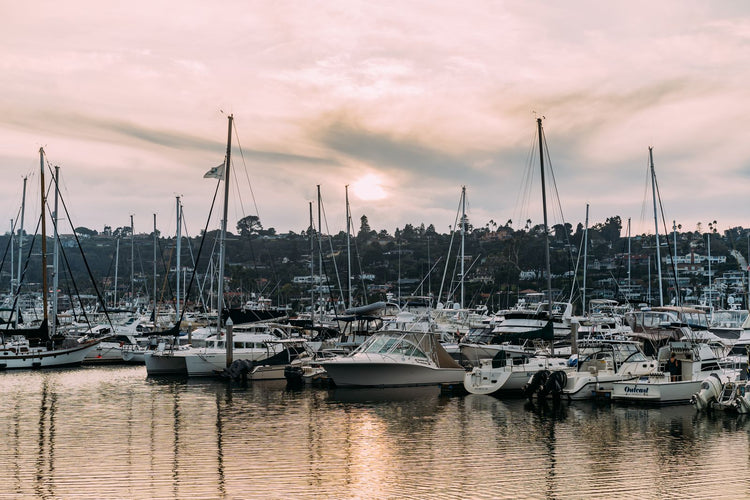 Solo Media Group - Shopify Platinum Partner - Agency Chula Vista, CA