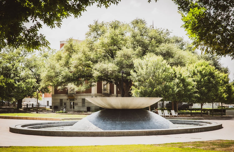 Solo Media Group - Shopify Platinum Partner - Agency College Station, TX