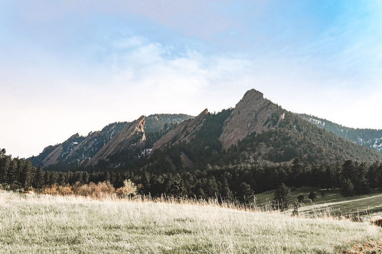 Solo Media Group - Shopify Platinum Partner - Agency Colorado