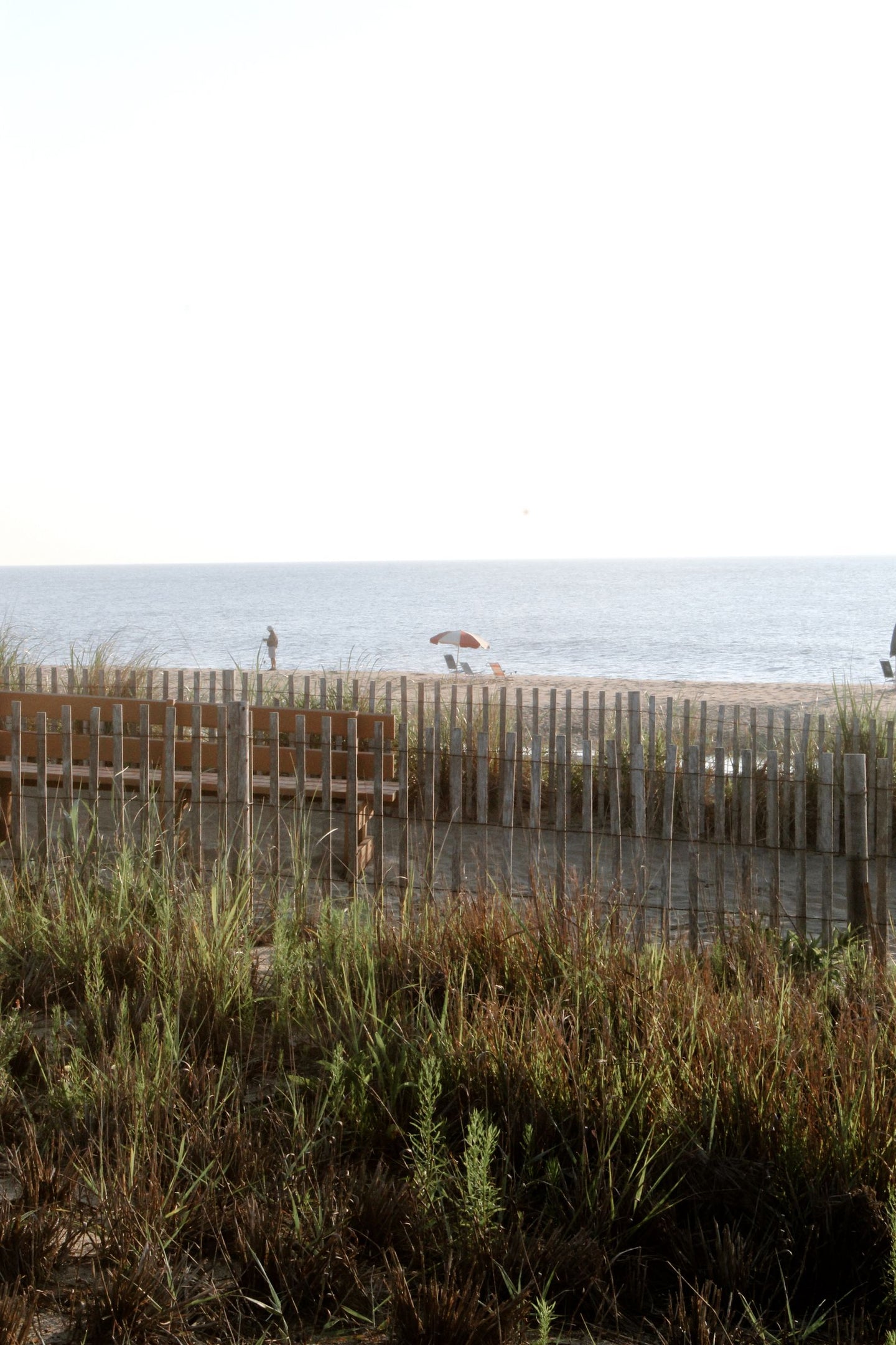 Solo Media Group - Shopify Platinum Partner - Agency Delaware