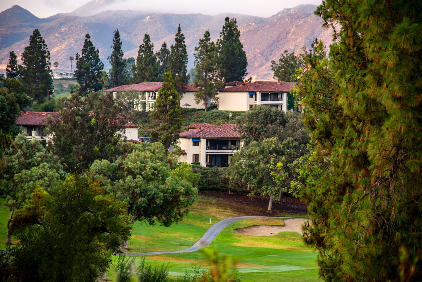 Solo Media Group - Shopify Platinum Partner - Agency Escondido, CA