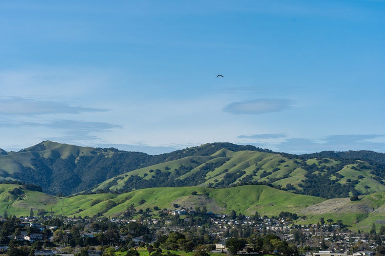 Solo Media Group - Shopify Platinum Partner - Agency Fremont, CA