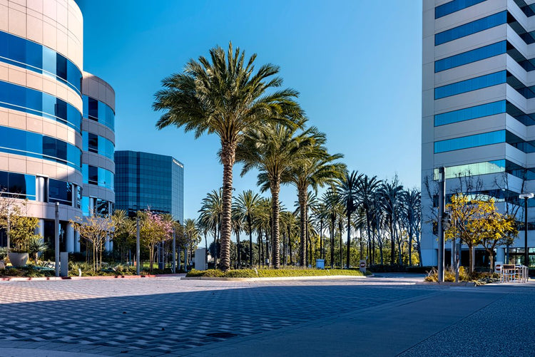 Solo Media Group - Shopify Platinum Partner - Agency Fullerton, CA