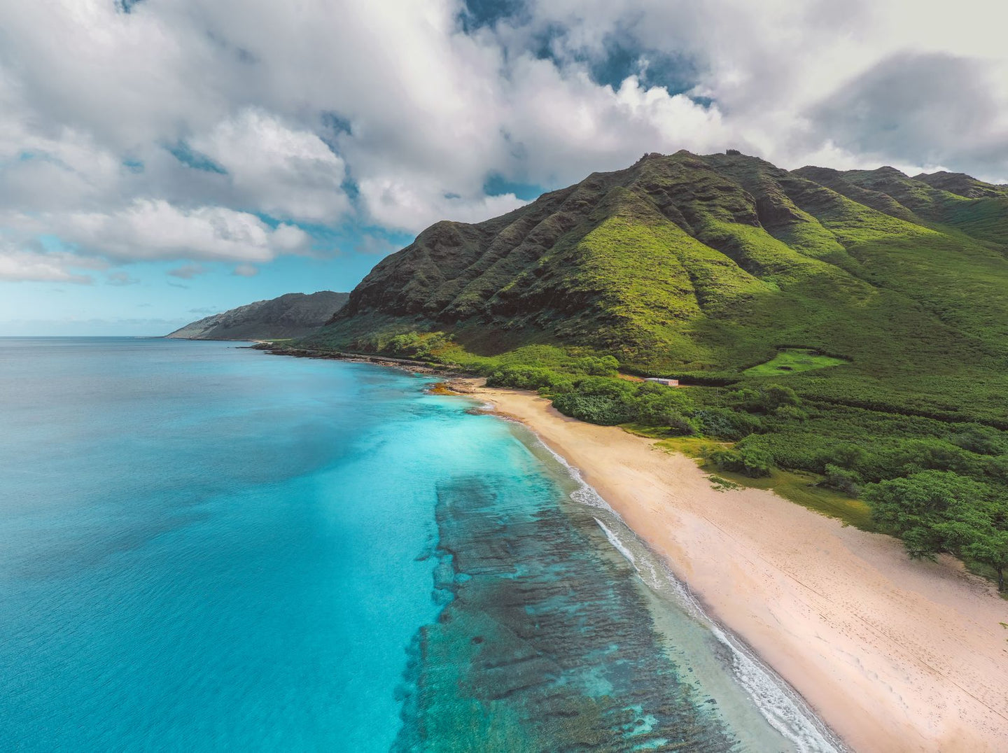 Solo Media Group - Shopify Platinum Partner - Agency Hawaii
