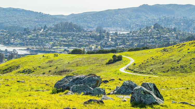 Solo Media Group - Shopify Platinum Partner - Agency Hayward, CA