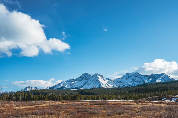 Solo Media Group - Shopify Platinum Partner - Agency Idaho