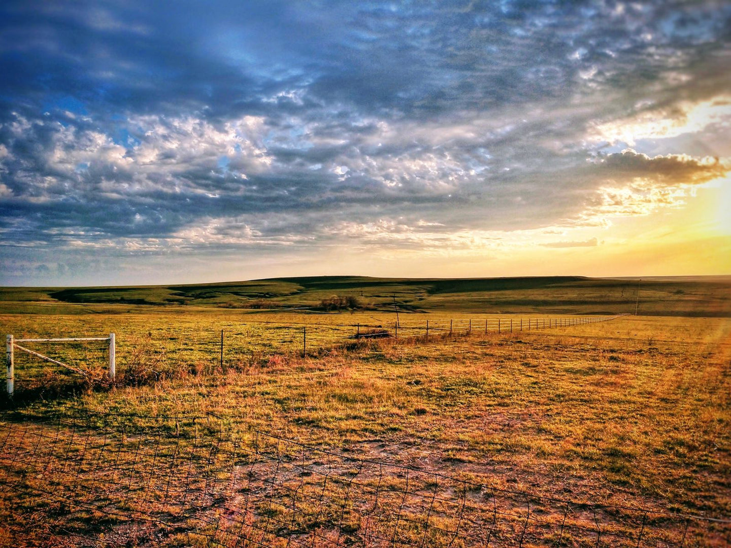 Solo Media Group - Shopify Platinum Partner - Agency Kansas