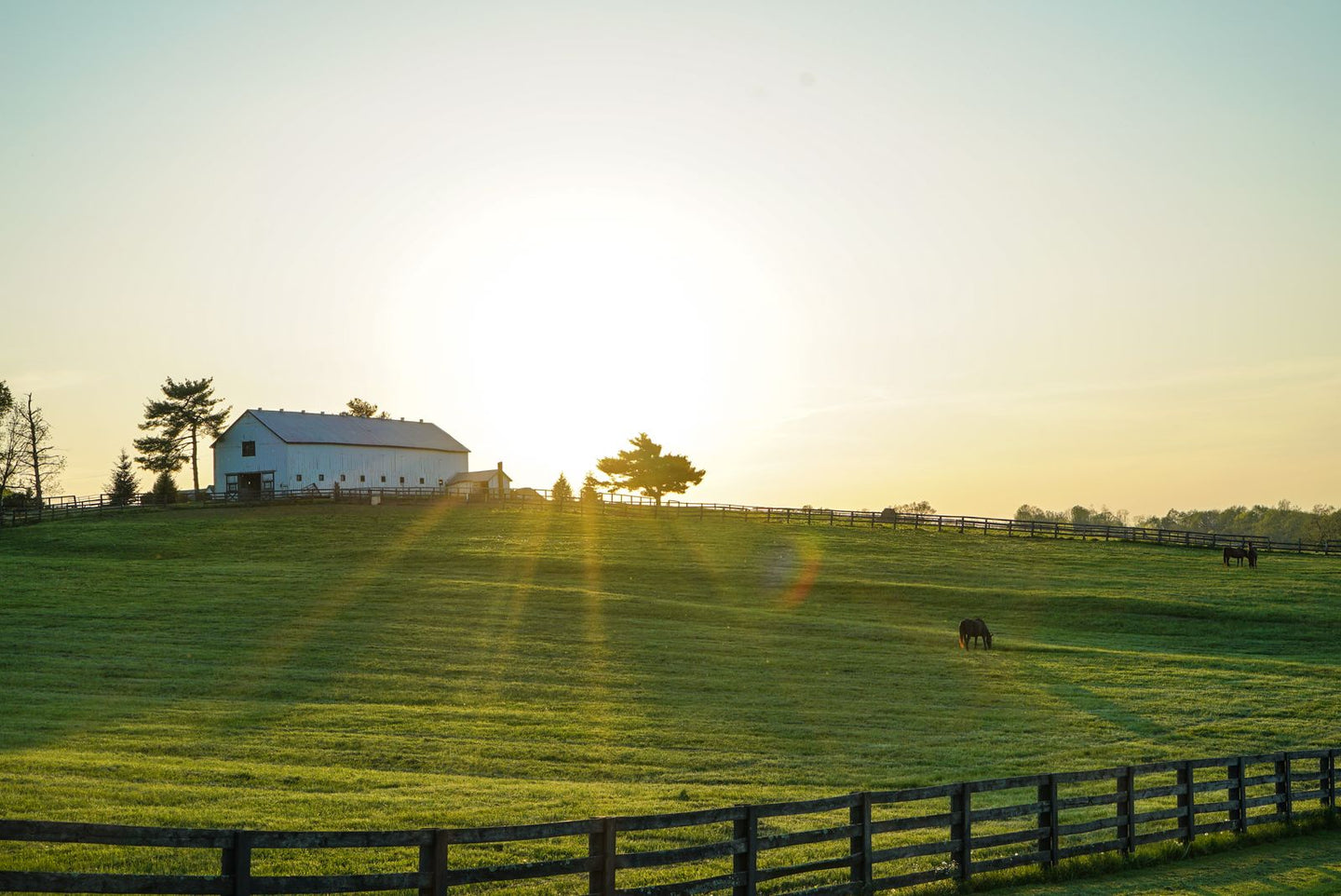 Solo Media Group - Shopify Platinum Partner - Agency Lexington, KY