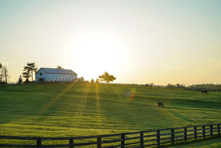 Solo Media Group - Shopify Platinum Partner - Agency Lexington, KY