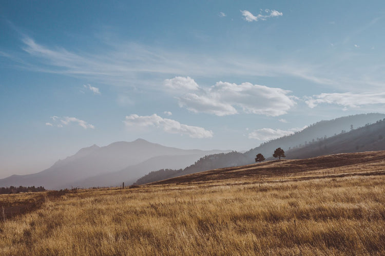 Solo Media Group - Shopify Platinum Partner - Agency Longmont, CO